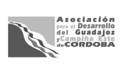 norma_b_n_adegua